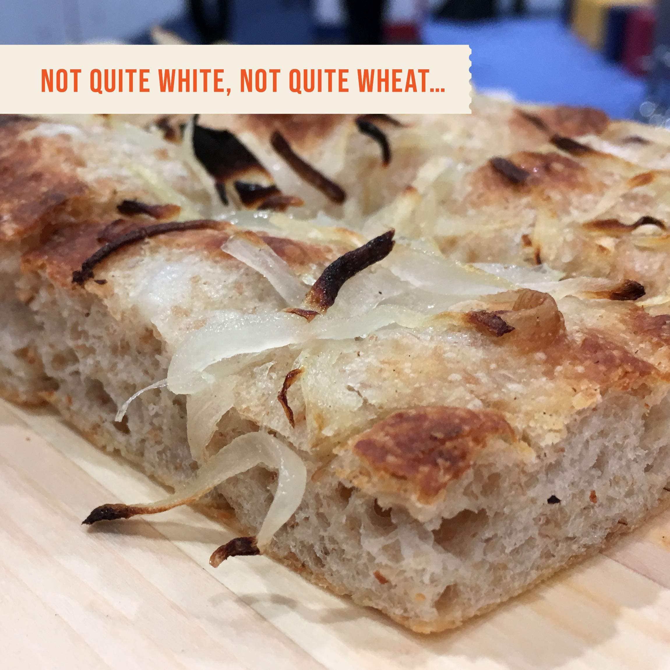 CENTRAL MILLING CENTRAL MILLING 100% Organic Artisan Bread Flour - 25 lbs - Old World