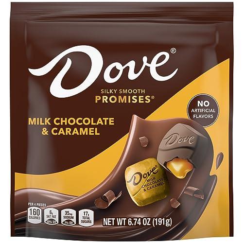Dove Dove Promises Milk Chocolate Caramel, 6.74 oz Bag
