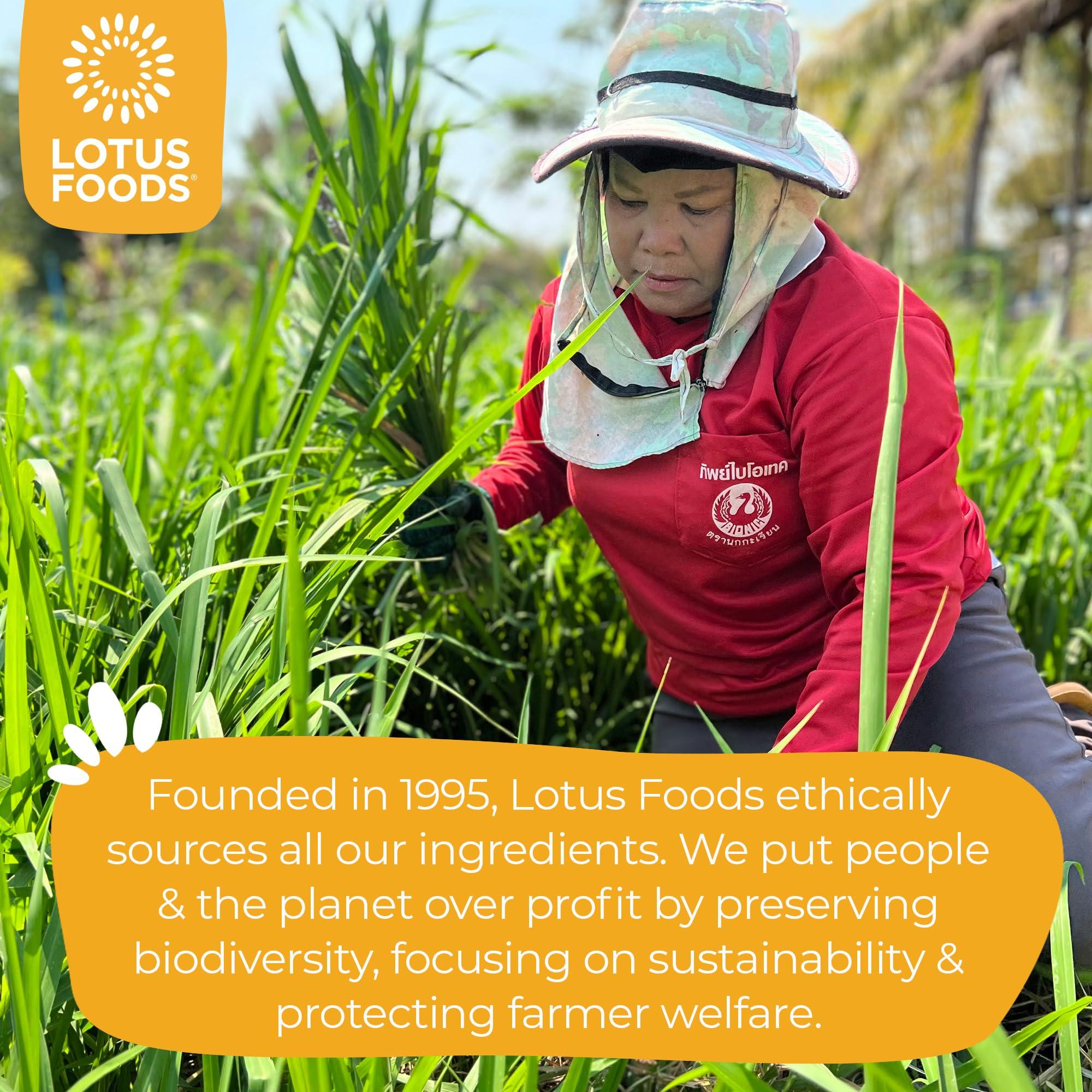 Lotus Foods Lotus Foods Organic Brown Pad Thai Rice Noodles (PACK OF 3)