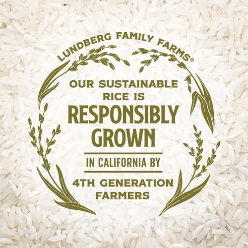 Lundberg Lundberg Basmati Rice, Organic Long Grain Brown Rice - Non-Sticky, Fluffy Aromatic Rice Grown in California, Pantry Staples, 32 Oz
