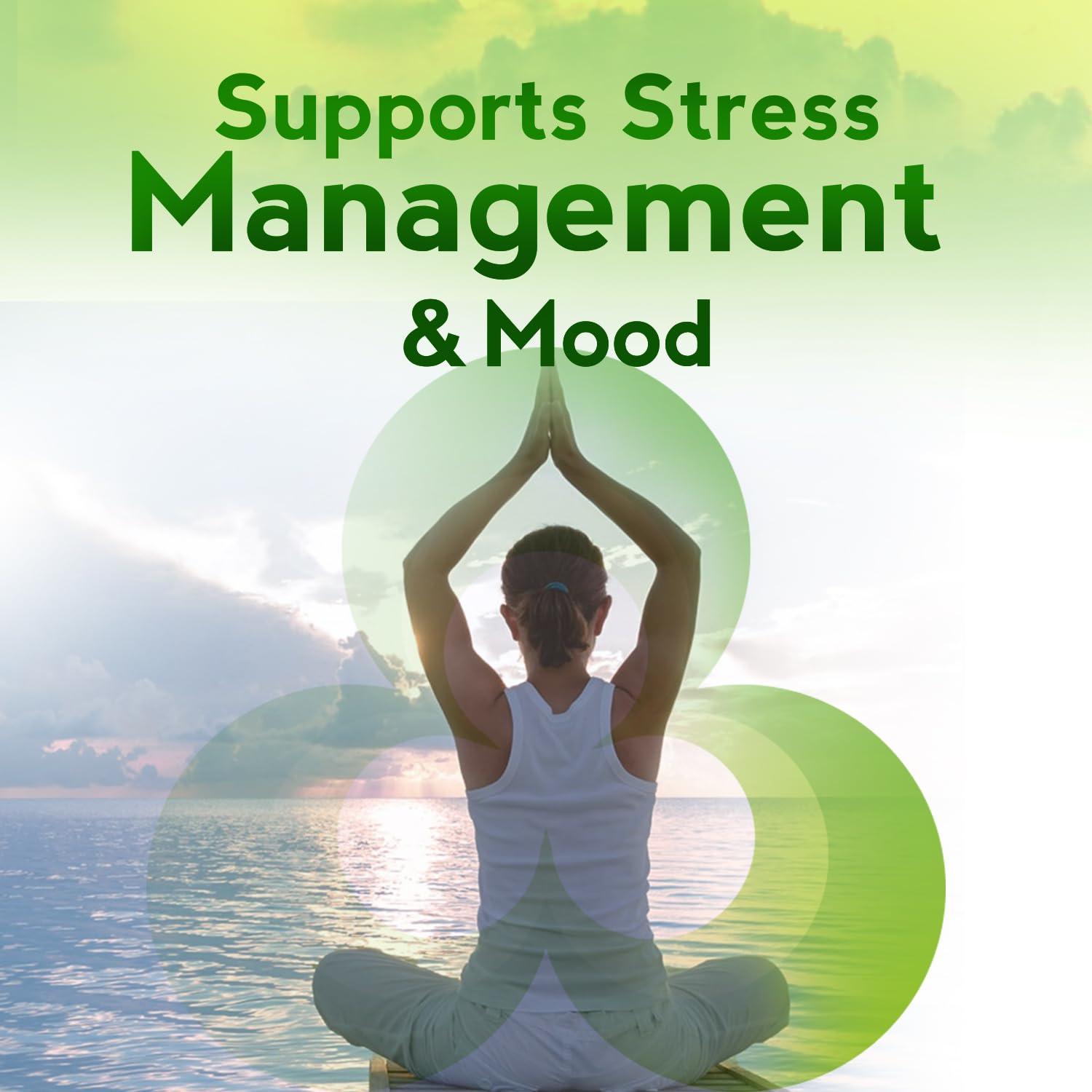 Herbion Naturals Herbion Naturals Ashwagandha Gummies with Herbal Blend, Helps De-Stress & Promote Calm*, Natural BlackBerry Flavor, Gluten-Free, 60 Pectin Gummies, Vegan, Made in USA, Pack of 4