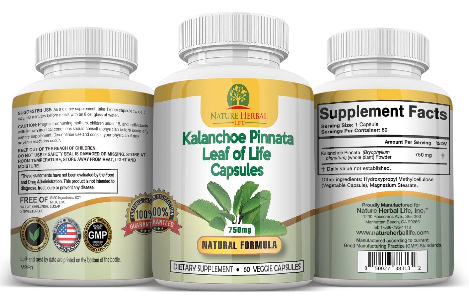 Nature Herbal Life Nature Herbal Life Kalanchoe Pinnata-Leaf of Life (Bryophyllum Pinnatum)Lao Di Sheng Gen, Capsules. 1 Bottle-750mg, 60 Count (Pack of 1)