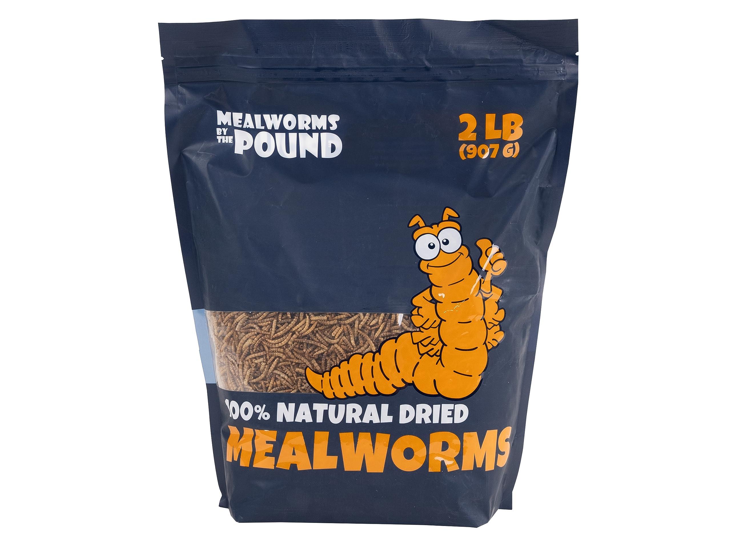 Mealworms by the Pound MBTP Bulk Dried Mealworms - Treats for Chickens & Wild Birds (2 Lbs)