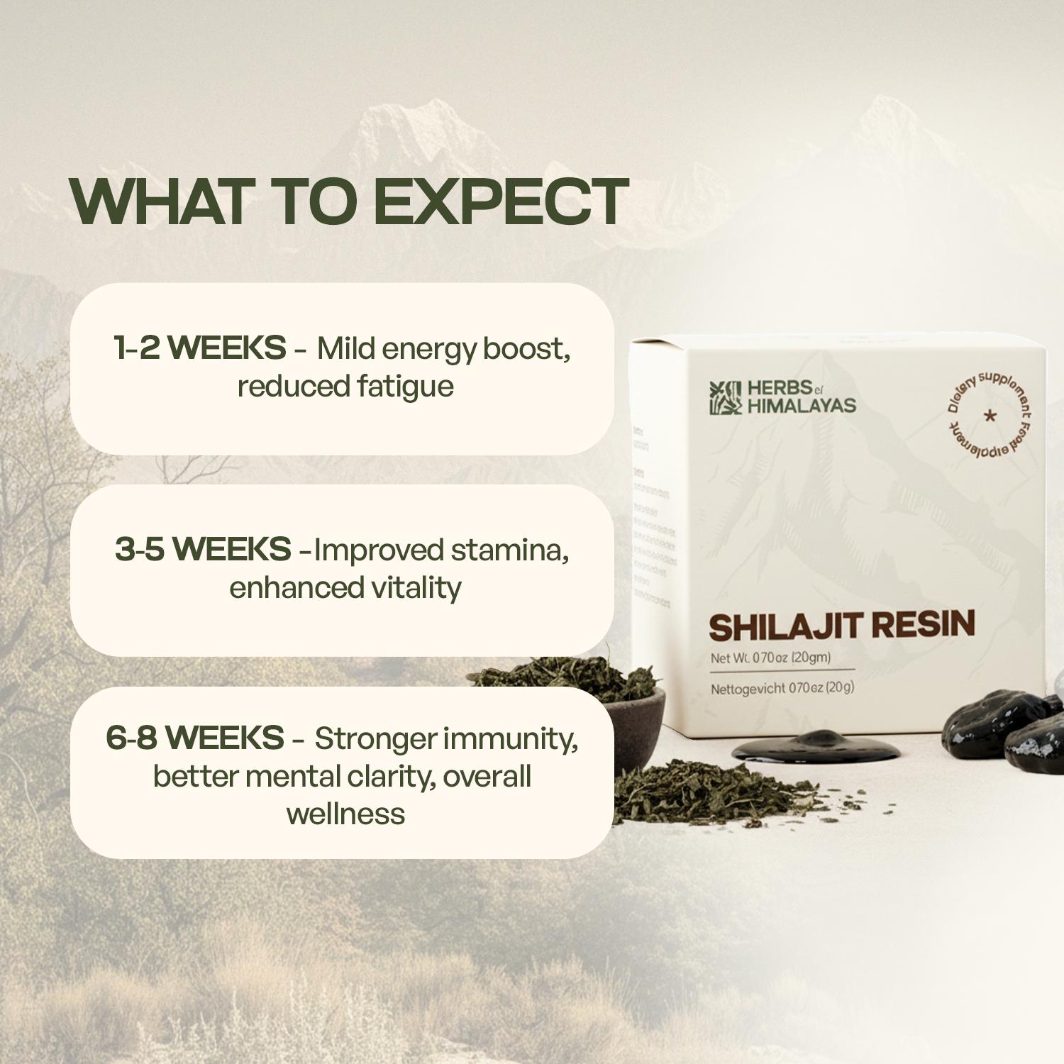 Herbs of Himalayas Herbs of Himalayas Shilajit Resin – Natural Strength (20 g)