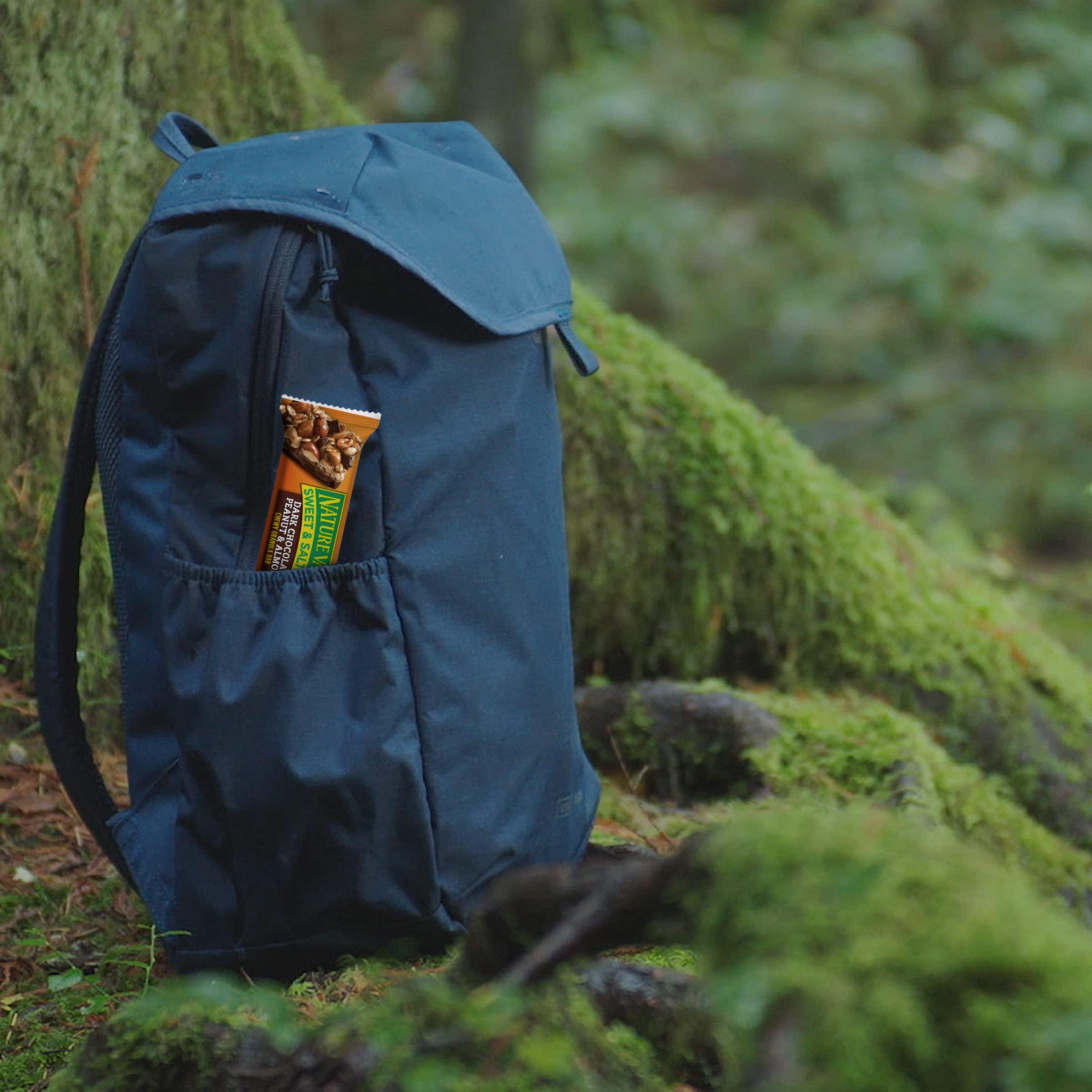 Nature Valley Nature Valley Sweet and Salty Nut Bars, Dark Chocolate Peanut Almond, 6 Bars, 7.2 OZ