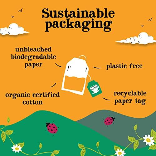 Clipper Natural, Fair & Delicious Clipper Tea, Orange & Turmeric, Organic Tea with Licorice Root, Orange Peel and Hibiscus, Plant Based Herbal Tea, Caffeine Free British Tea, 1 Pack, 20 Unbleached Tea Bags