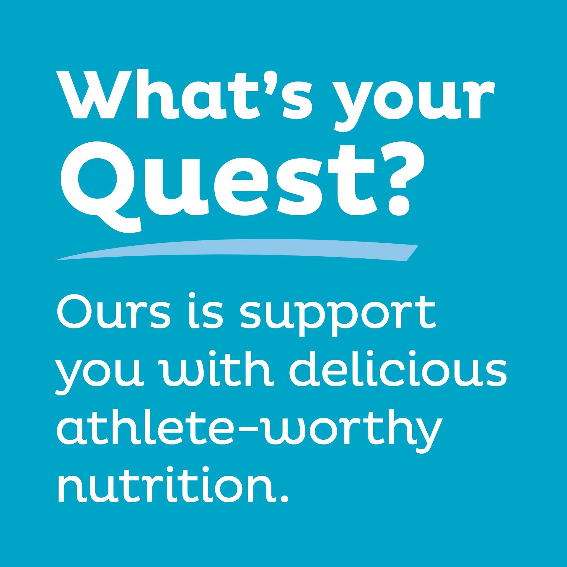Quest Nutrition Quest Nutrition Protein Chips Variety Pack Bundle, High Protein, Low Carb, 24 Count