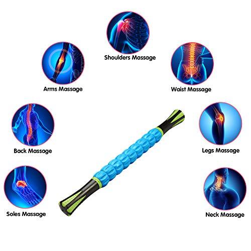 REEHUT REEHUT Muscle Roller Massage Stick Tool for Athletes, 18 Inches Muscle Roller for Relieving Muscle Soreness, Soothing Cramps, Massage, Physical Therapy & Body Recovery Blue