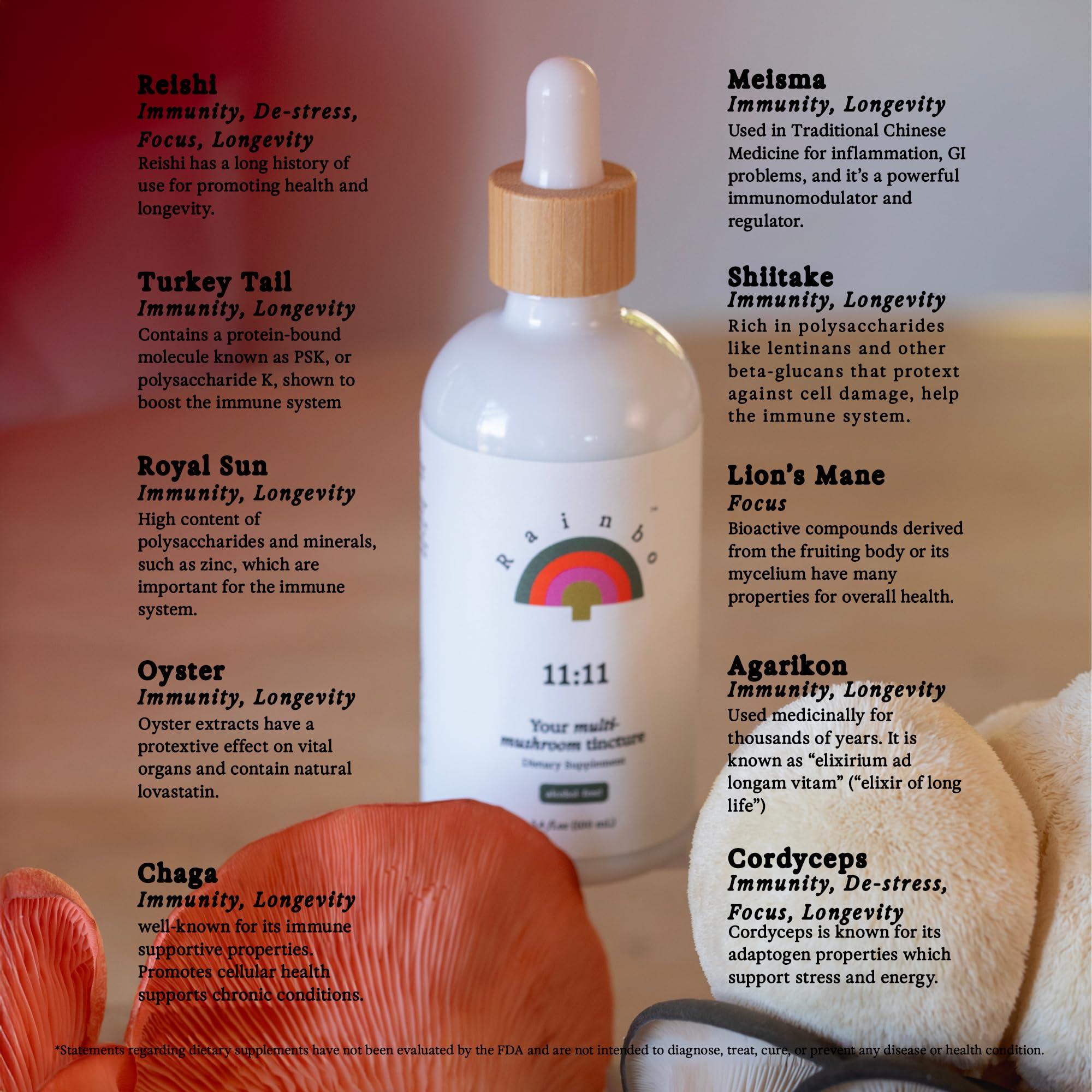 Rainbo Rainbo 11:11 Multi Mushroom Tincture, Dual Extract Mushroom Supplement for Comprehensive Immune Support, Brain Support, Liquid Lion's Mane & Turkey Tail, Vegan, Non GMO, 3.4 fl oz