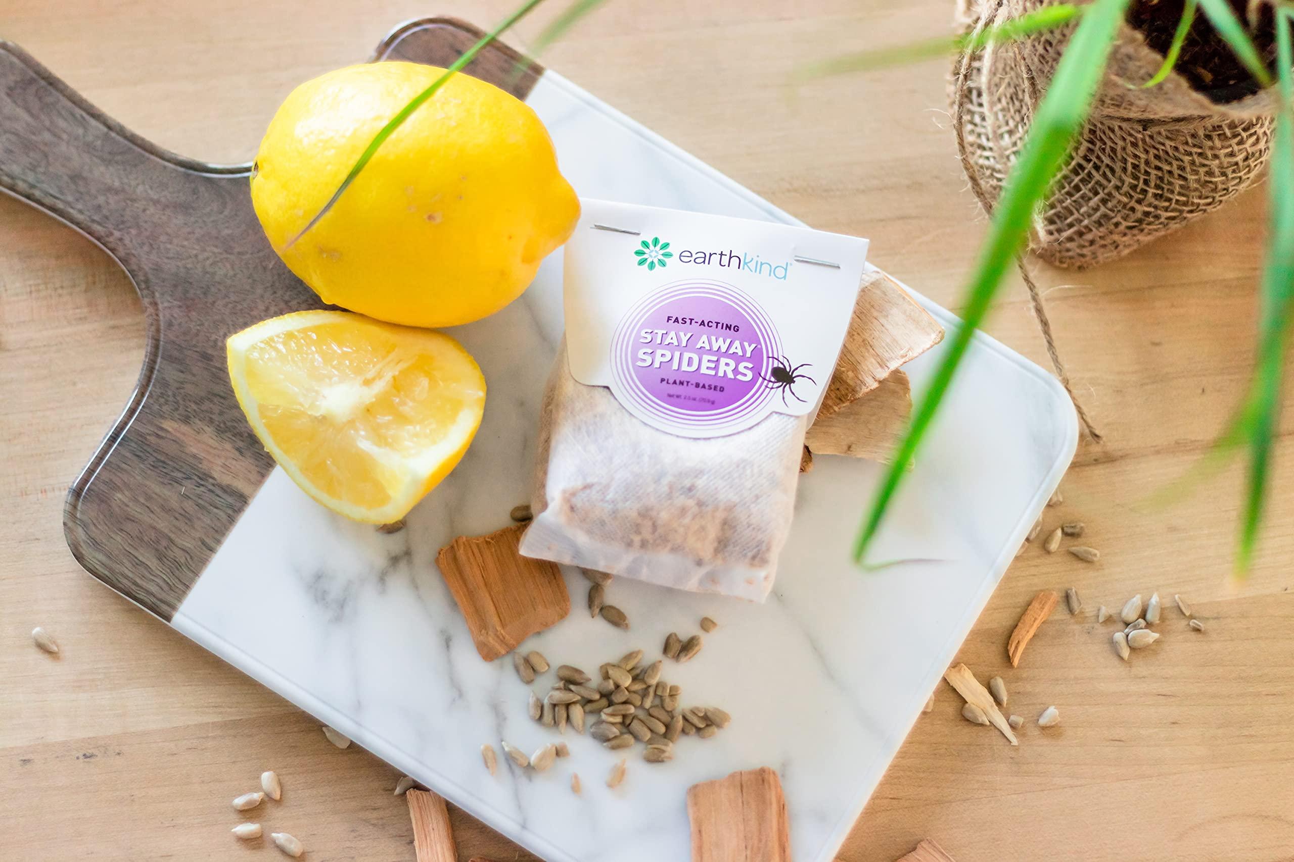 Stay Away Stay Away Spiders Deterrent - Indoor Spider Deterrent Pouches for Attic, Crawl Space, Window Sill & More - with Plant-Based Ingredients & Essential Oils - 6-Pack with Extended Release Pouch Pod