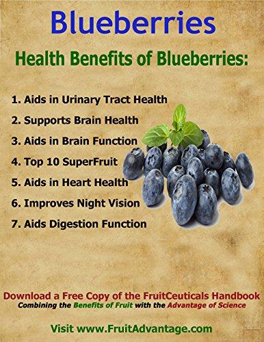 FruitCeuticals FruitCeuticals Organic Blueberry Powder Made with 100% Whole Fruit Wild Blueberries - 8oz Pouch (90 Day Supply)