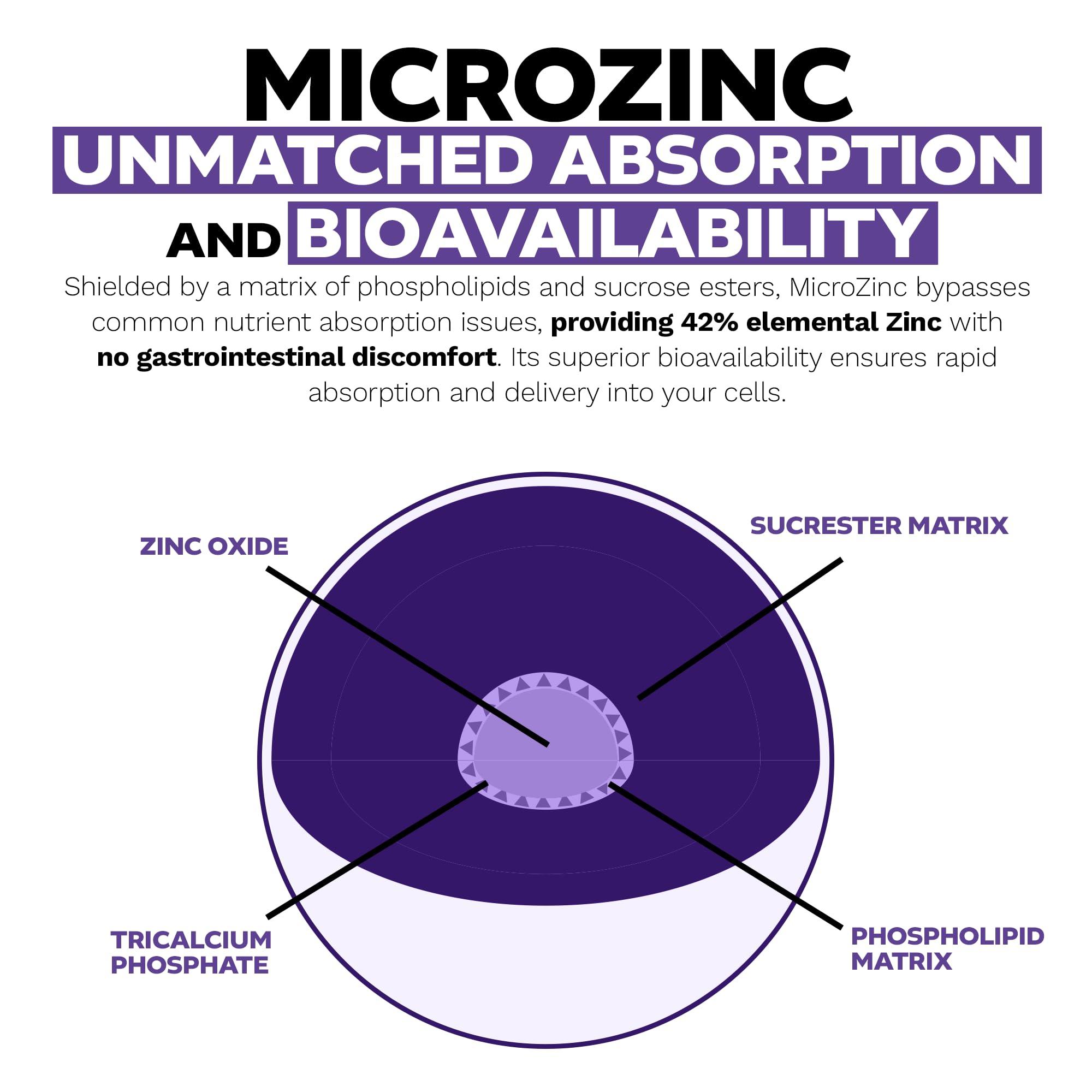 Nootropics Depot Nootropics Depot MicroZinc Capsules | 20mg | Optimized Zinc Supplement | 30 Count