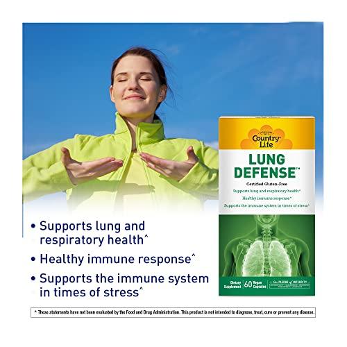 Dot\'s Homestyle Pretzels Dot\'s Homestyle Pretzels 5 Ounce Snack Size Individual Packs Seasoned Pretzel Twists (Variety Pack, 5 Ounce (Pack of 3))