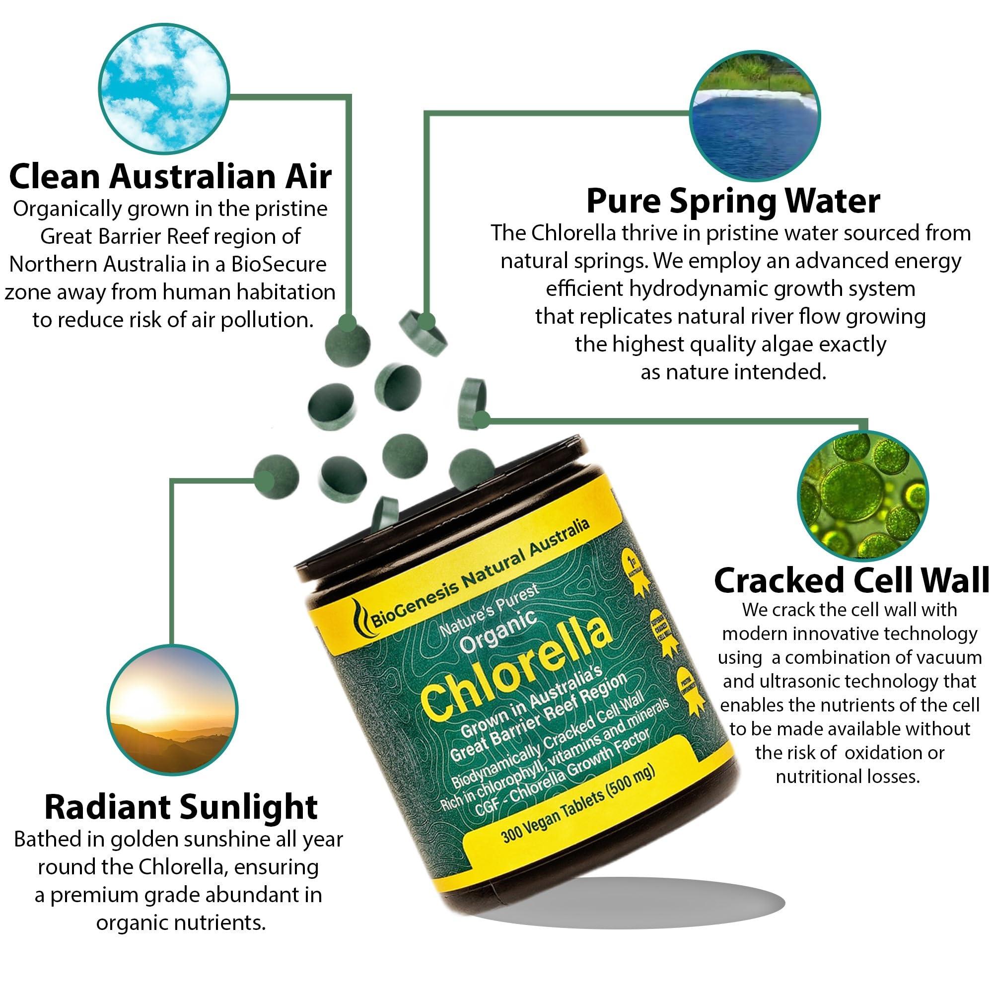 Biogenesis Organic Chlorella Tablets, Australian | Advanced BioDynamic Cracked Cell Wall | Chlorophyll-Rich, Vitamins, Minerals, Chlorella Growth Factor | Supports Good Health | Vegan Tablets (Mixed Berry, 300)
