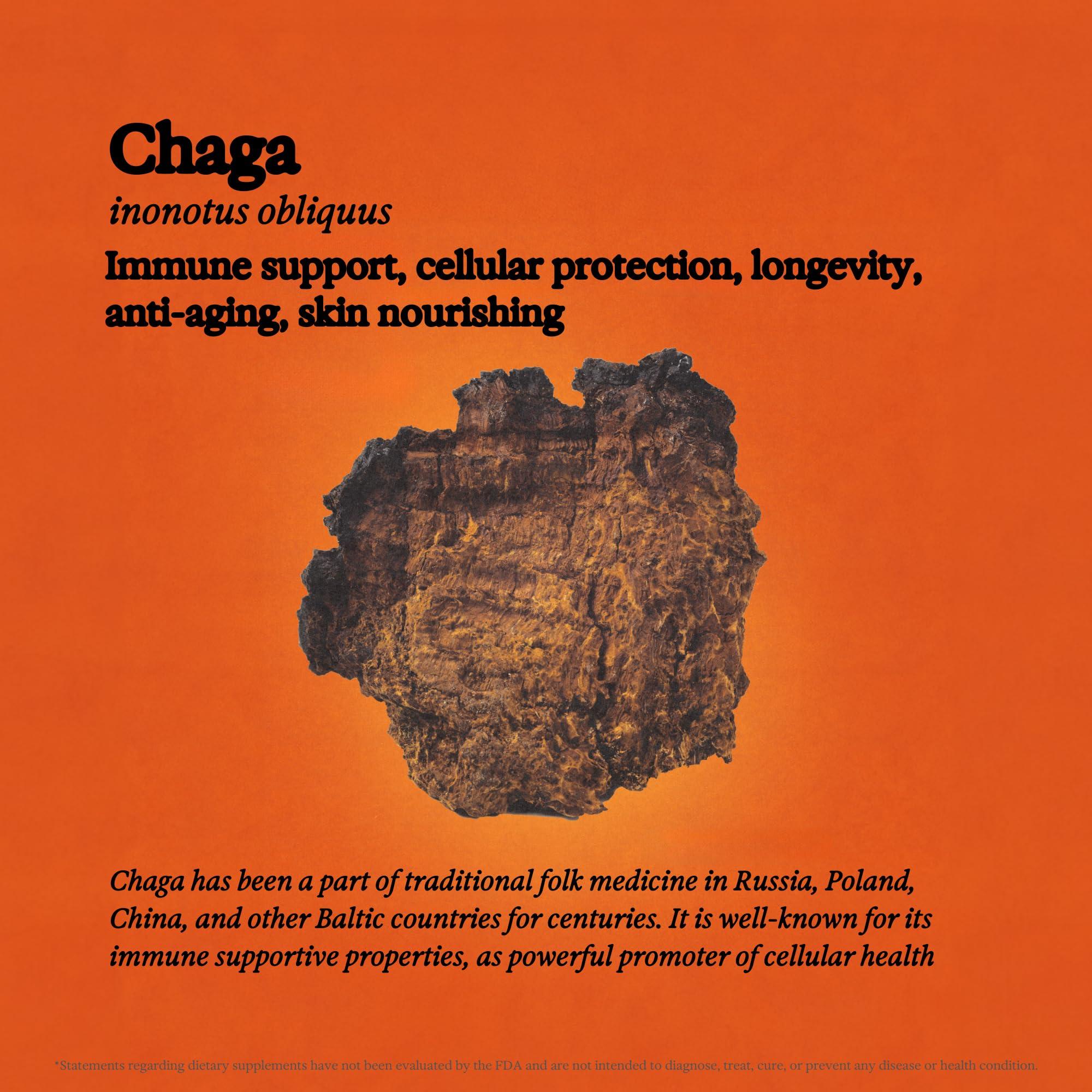 Rainbo Rainbo Mushroom Bundle, Reishi Mushroom Extract + Chaga Mushroom Tincture, Dual Extract Daily Mushroom Tinctures for Comprehensive Immune Support, Vegan Liquid Mushroom Supplements