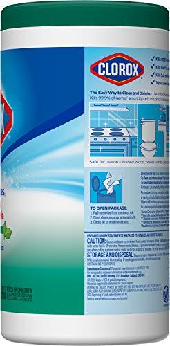 Clorox Clorox Disinfecting Wipes, Bleach Free Cleaning Wipes, Fresh Scent, 75 Count (Package May Vary)