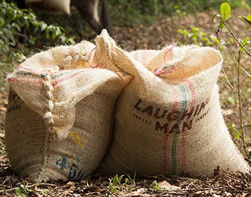 LAUGHING MAN Laughing Man Colombia Huila Keurig Single-Serve K-Cup Pods, Dark Roast Coffee, 60 Count (6 Packs of 10)