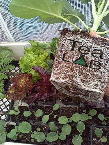 TeaLAB Five:Two - Humic Acid & Kelp Extract (5, pounds)