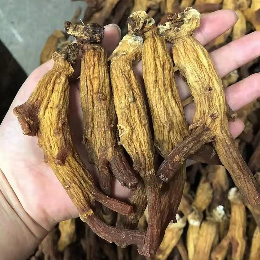 NineLife Basics Pure Natural Organic 10 Years Root Wild Old Ginseng Premium Authentic South Korea Korean Ginseng Gaoli Ginseng Koryo Ginseng 100 Grams/0.22 Pound.