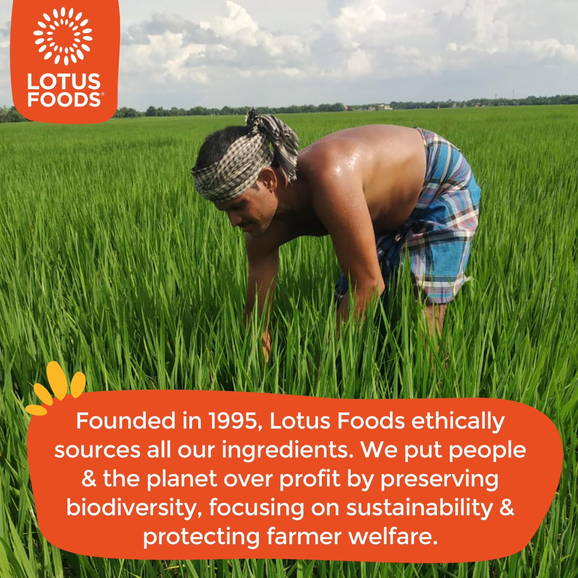 Lotus Foods Lotus Foods Organic Millet & Brown Rice Ramen with Miso Soup - Gluten Free Ramen Noodles, Vegan Ramen Noodles with Millet Flour & Brown Rice Flour, Whole Grain GF Ramen - 2.8 Oz Bags (Pack of 10)