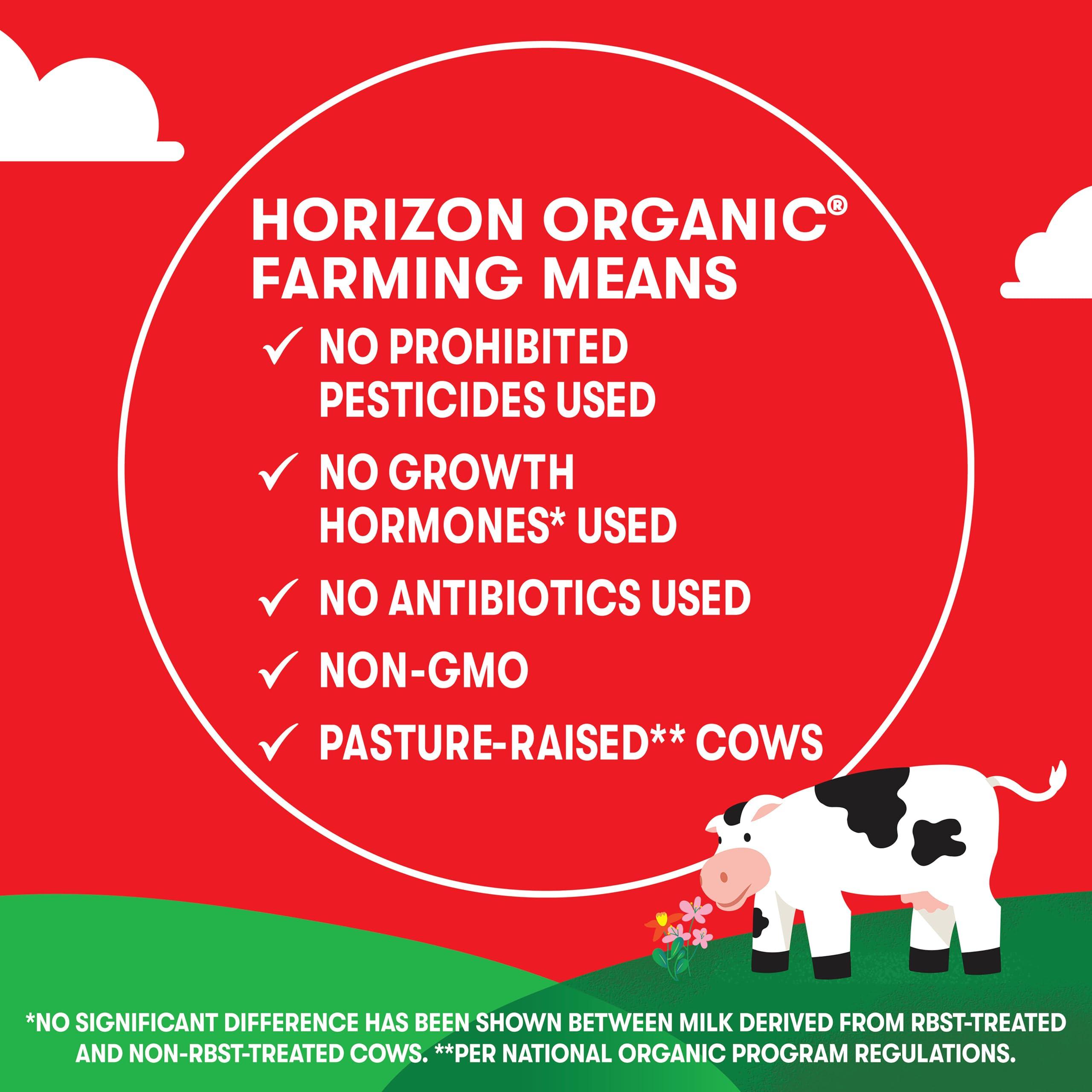 Horizon Organic Horizon Organic Shelf-Stable 1% Lowfat Milk Box, Chocolate, 8 Fl Oz, 1 Pack