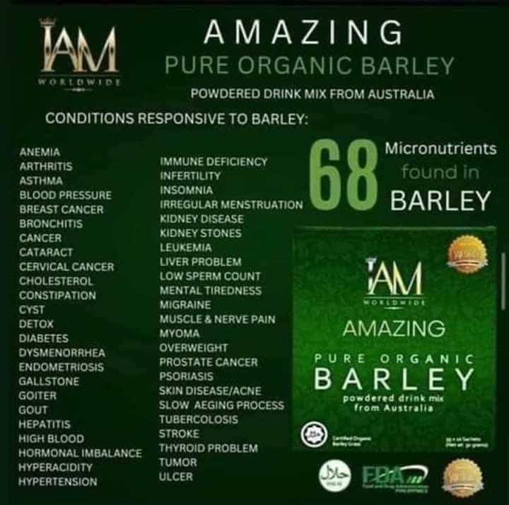 Herb All Generic IAM Amazing Pure Organic Barley Powder Drink Mix Organic Barley Natural Blend, 2.2 Ounce (Pack of 1), Green