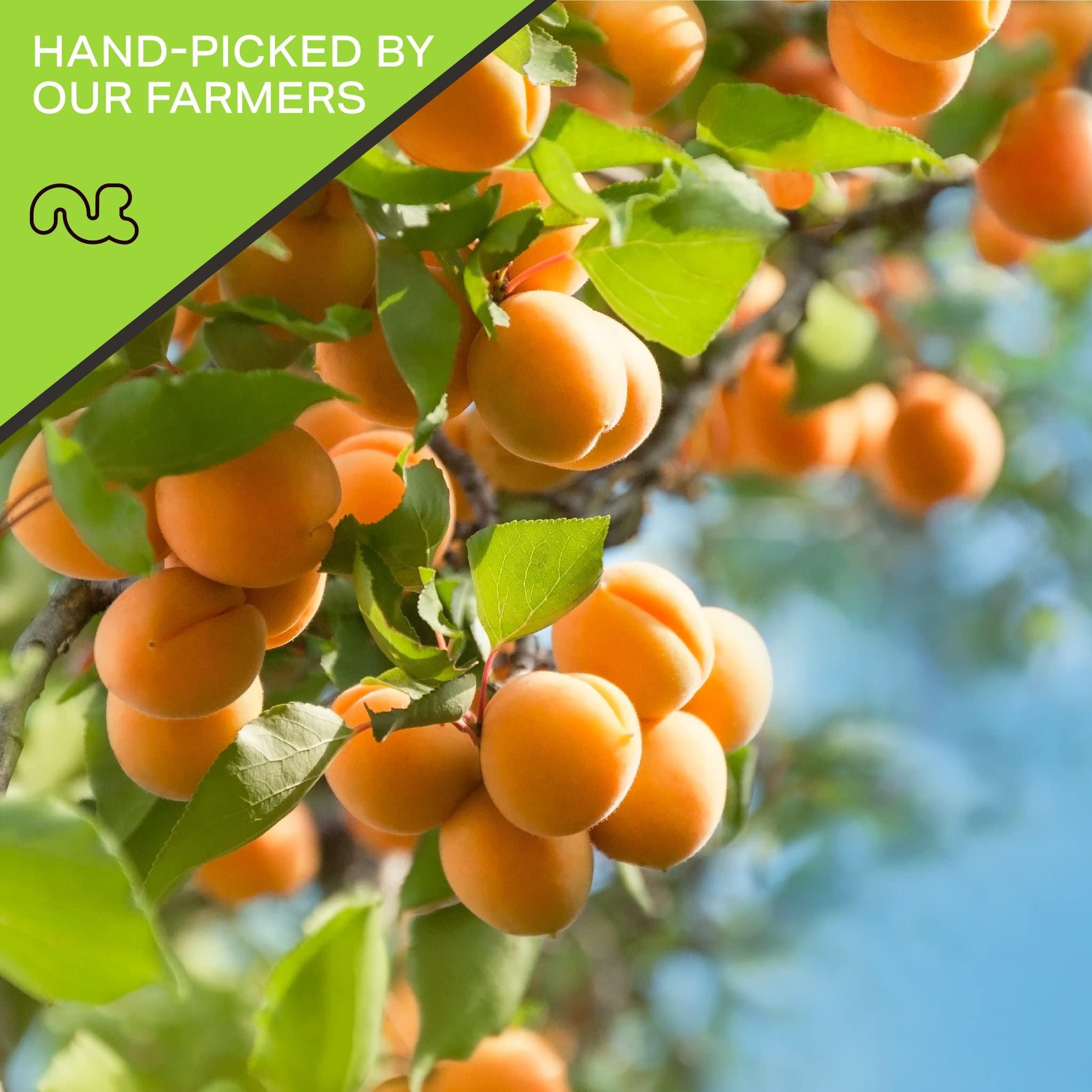 Nut Cravings NUT CRAVINGS Dry Fruits - Sun Dried Turkish Apricots, No Sugar Added (48oz - 3 LB, Bulk) Packed Fresh in Resealable Bag - Sweet Snack, Healthy Food, Naturally Grown, Vegan, Kosher Certified