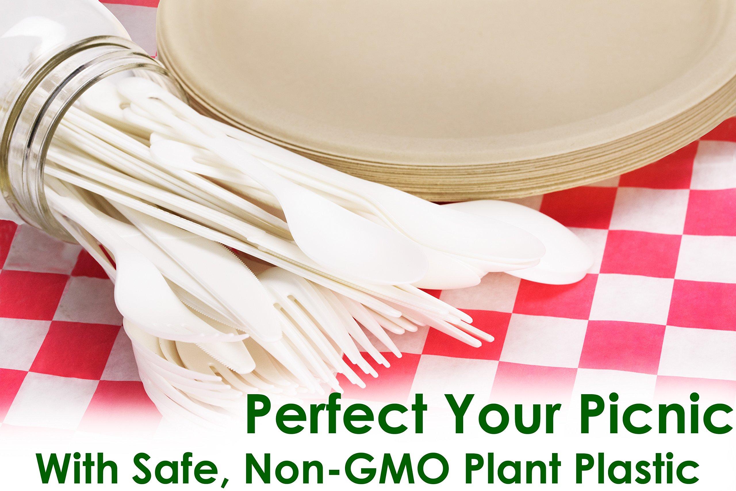 Avant Grub Spoons Made From Non-GMO Plant-Based Plastic 25 Pack. Sturdy Utensils are Certified Compostable, Disposable, Eco-Friendly Cutlery With No Wood Taste. Safe for Hot and Cold Foods!