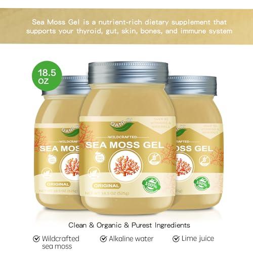 QANLOI Sea Moss Gel Organic Raw-Sea Moss Advanced Superfood-Organic Sea Moss Supplement-Gut Health-18.5OZ Natural Sea Moss GelOriginal