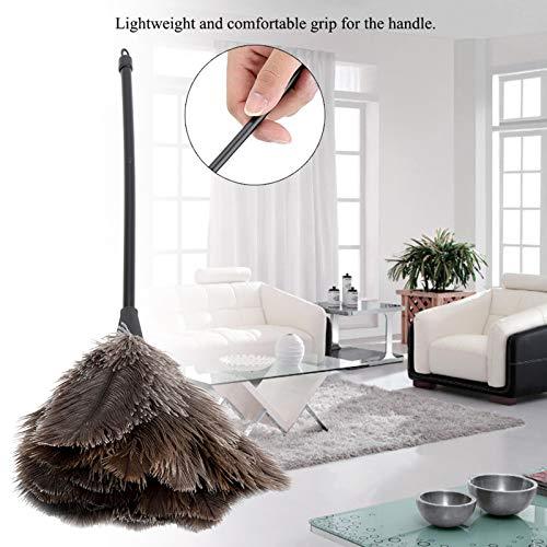 QiaNgshuAikj 34cm Premium Quality Genuine Ostrich Feather Duster – Attracts Dust Particles - Thick Soft Feathers - Durable Ergonomic Wooden Handle – Easy Efficient Dusting