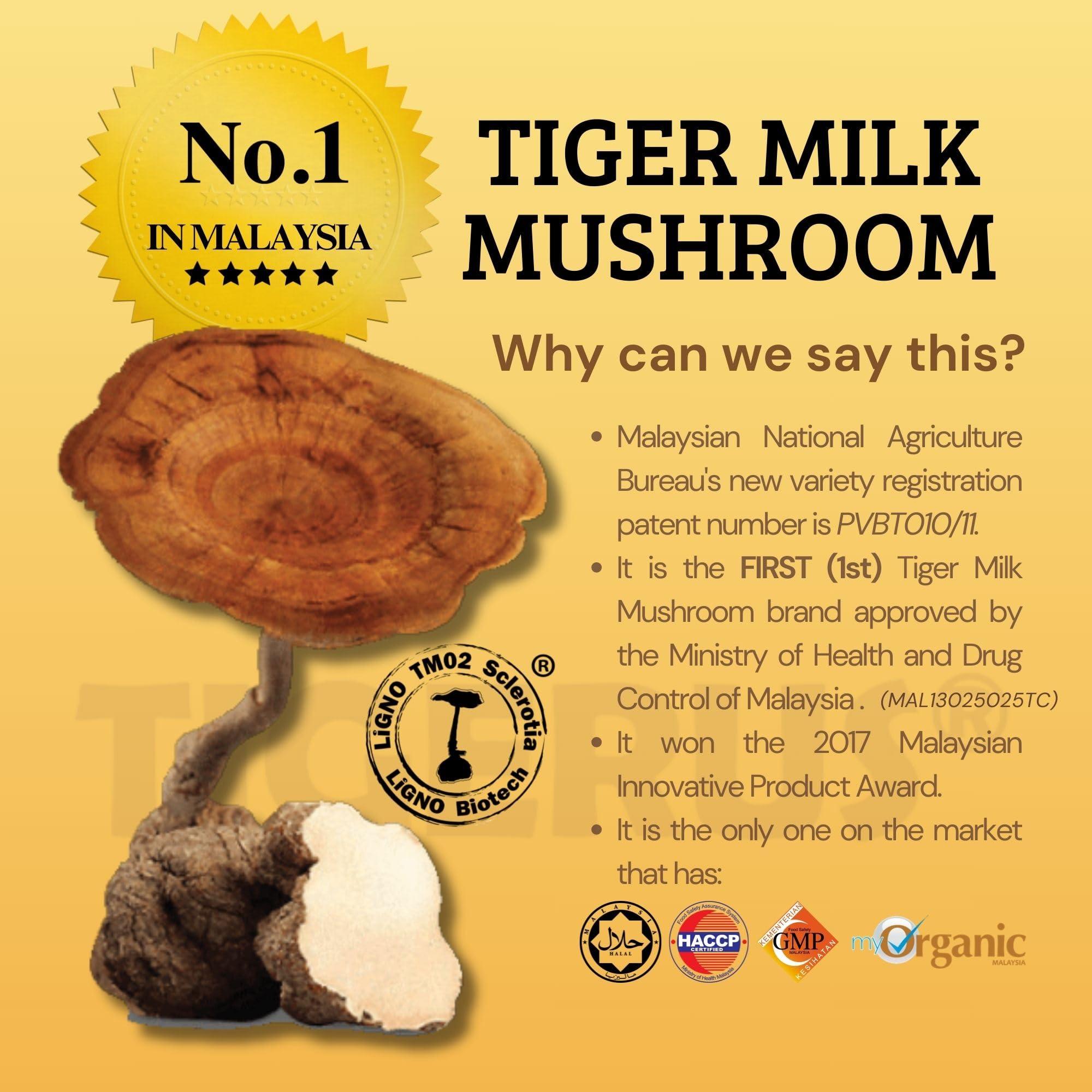 TIGERUS TIGERUS Tiger Milk Mushroom (LiGNO TM02 Lignosus rhinocerus Sclerotia) Malaysia, Lung Respiratory Immune Support 420mg x 60 vegecap