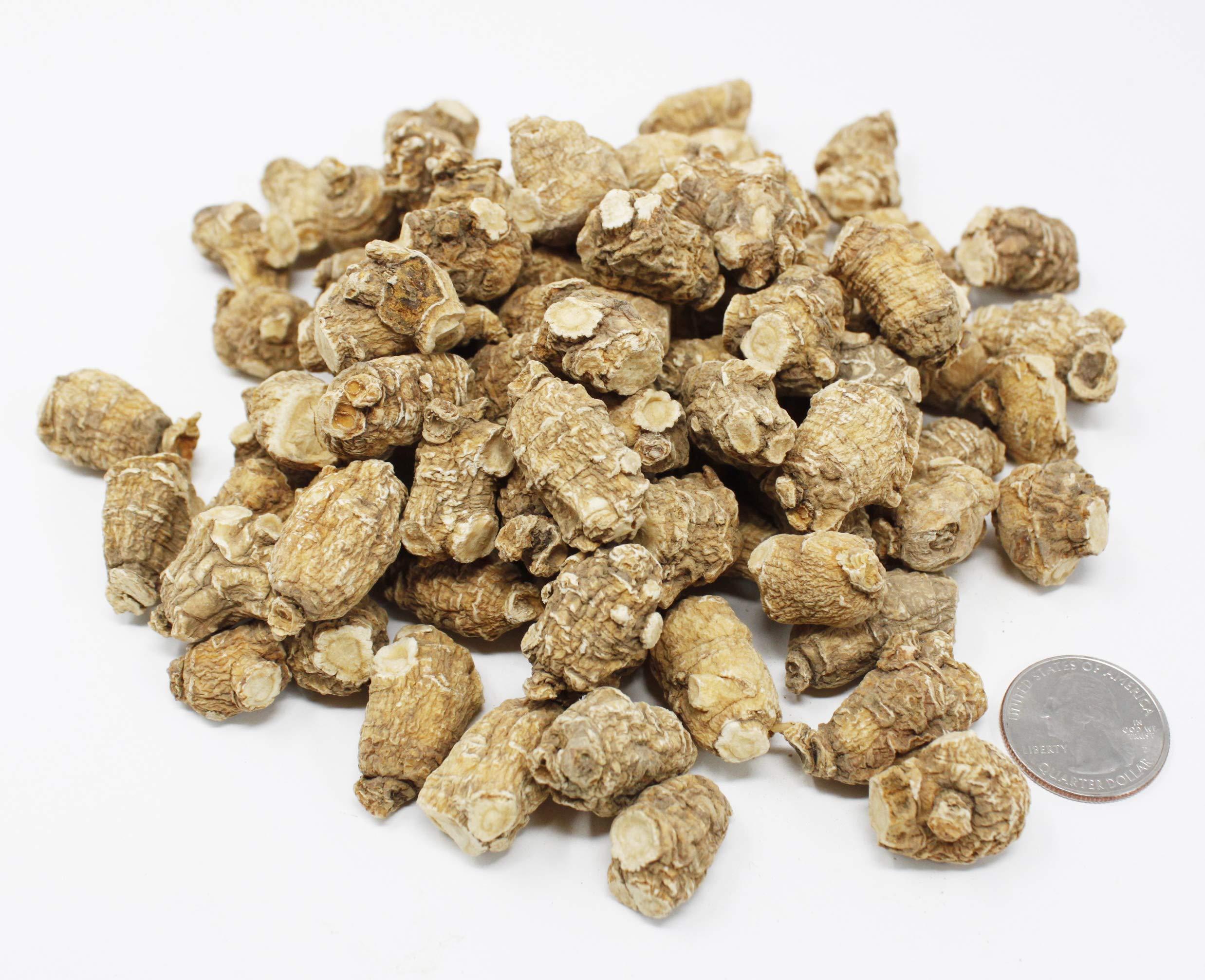 DABC OAK LAND DABC OAK LAND DOL Hand Selected Cultivated Wisconsin American Ginseng Pearl Ginseng / - in Box. (Small 4oz/Box)