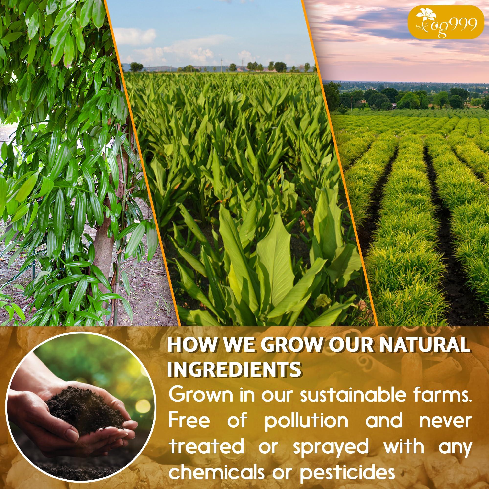 TOG999 Special 30 Tea Bags Turmeric Ginger Cinnamon Tea, 100% Natural, Hand-made Blend of Turmeric, Ginger, and Cinnamon. Eco-conscious Tea Bags. Turmeric Ginger Herbal Tea. No Sugar, No Caffeine, No Gluten, Vegan.