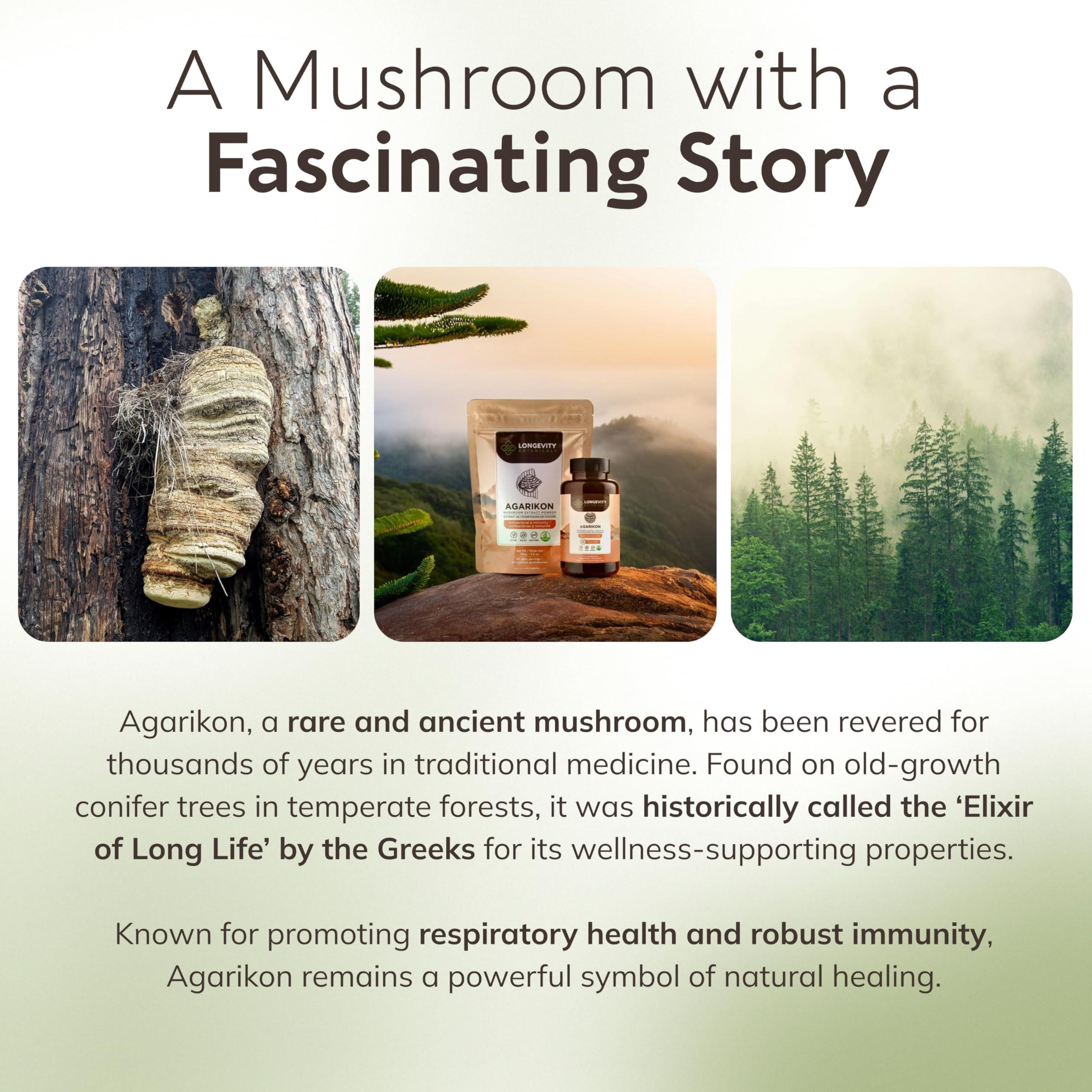 Longevity Botanicals Longevity Botanicals - Wildcrafted Agarikon Mushroom Powder - Ultra Concentrated Agarikon Mushroom Supplement - Promotes a Balanced Immune System - 100% Fruiting Body - 100 Grams -