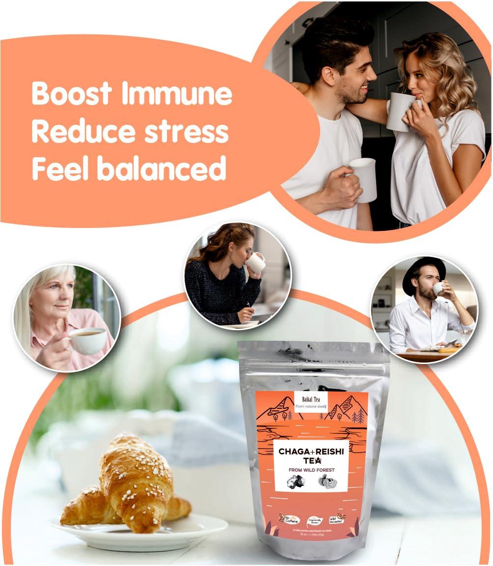 Baikal Tea Baikal Tea Chaga Reishi Tea Wild Chaga Tea with Reishi - 30 Unbleached Tea Bags - Ganoderma Lingzhi Mushroom Supplement Tea with Wild Chaga