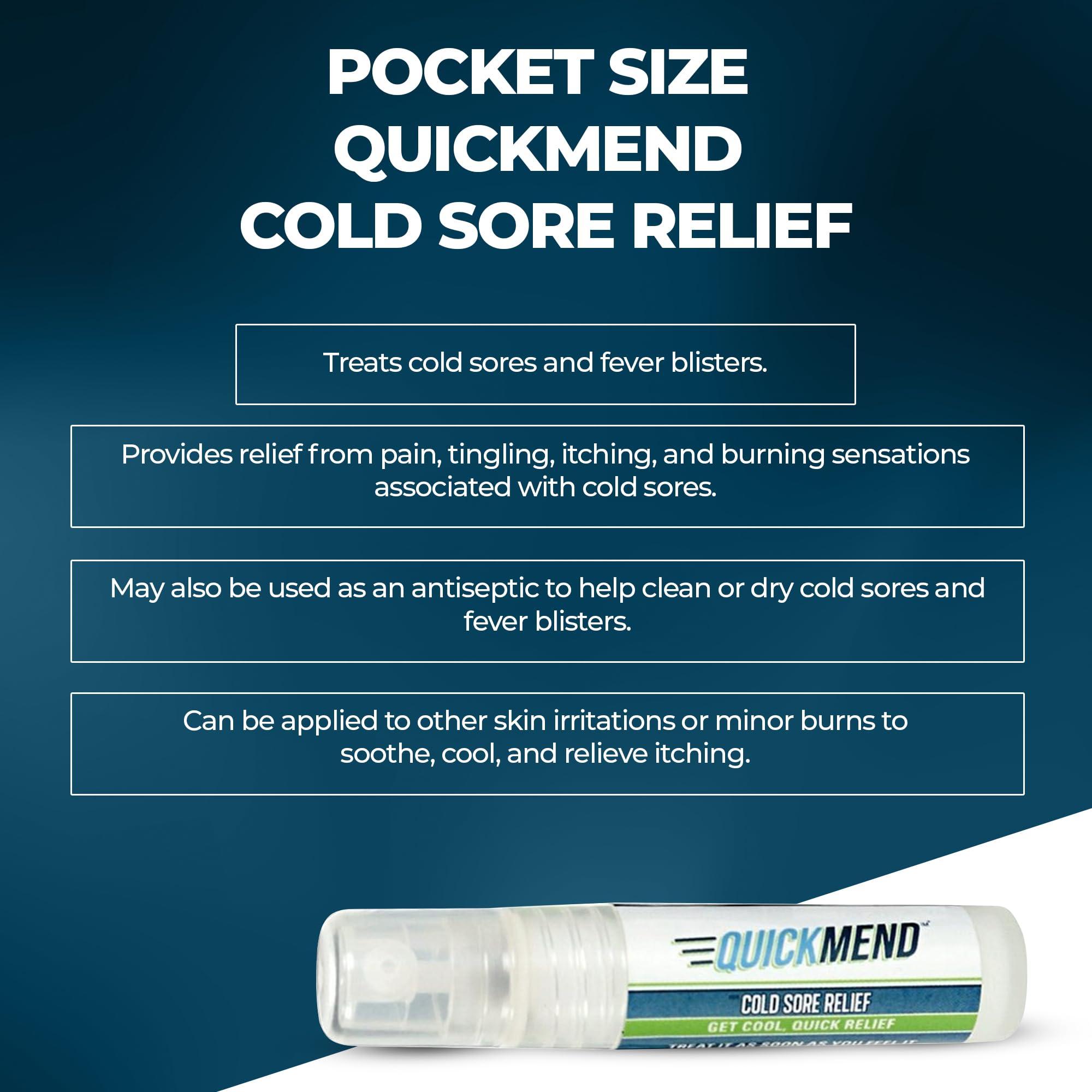 Quick Mend Quickmend Cold Sore Relief Lip Treatment with Pump Dispenser, 4.5 ml / .15 oz.