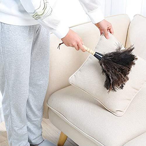 Roexboz Roexboz Feather Duster Washable Soft Duster Antistatic Animal Feather Brush Natural Ostrich Feathers with Long Wooden Handle Feather Duster for House car