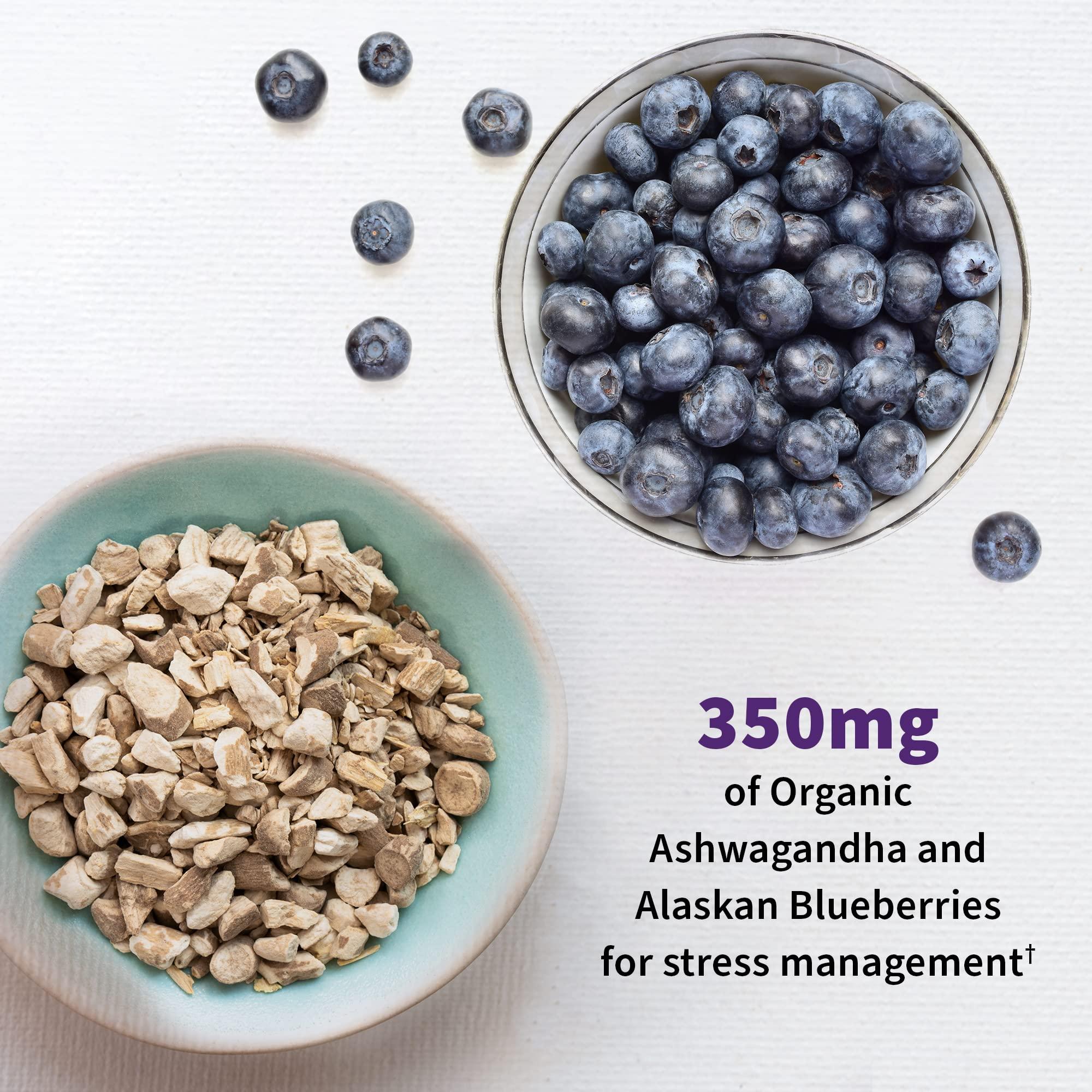 Garden of Life Garden of Life Probiotics Mood+ Dr Formulated Acidophilus Probiotic Supplement - Promotes Emotional Well-Being, Relaxation and Digestive Balance - Ashwagandha for Stress Management, 60 Veggie Caps