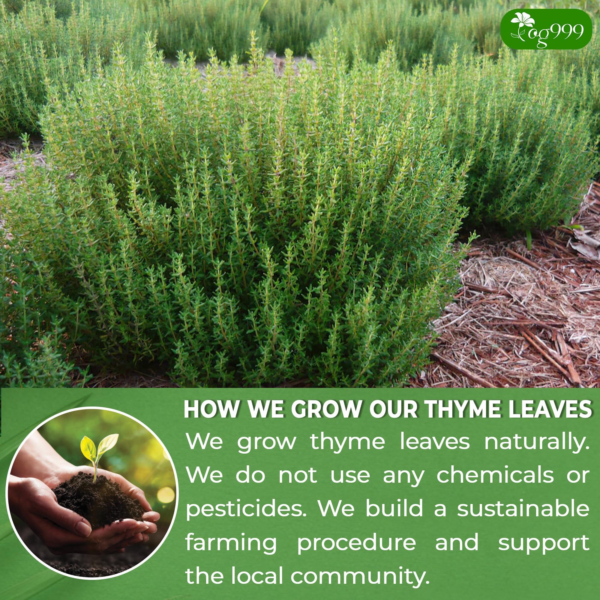 TOG999 TOG999, Premium 120 Thyme Leaf Tea Bags, 100% Natural & Pure Thyme Leaves. Loose Leaf Thyme Herbal Tea. Thyme Leaf Tea. No Sugar, No Caffeine, No Gluten, Vegan.