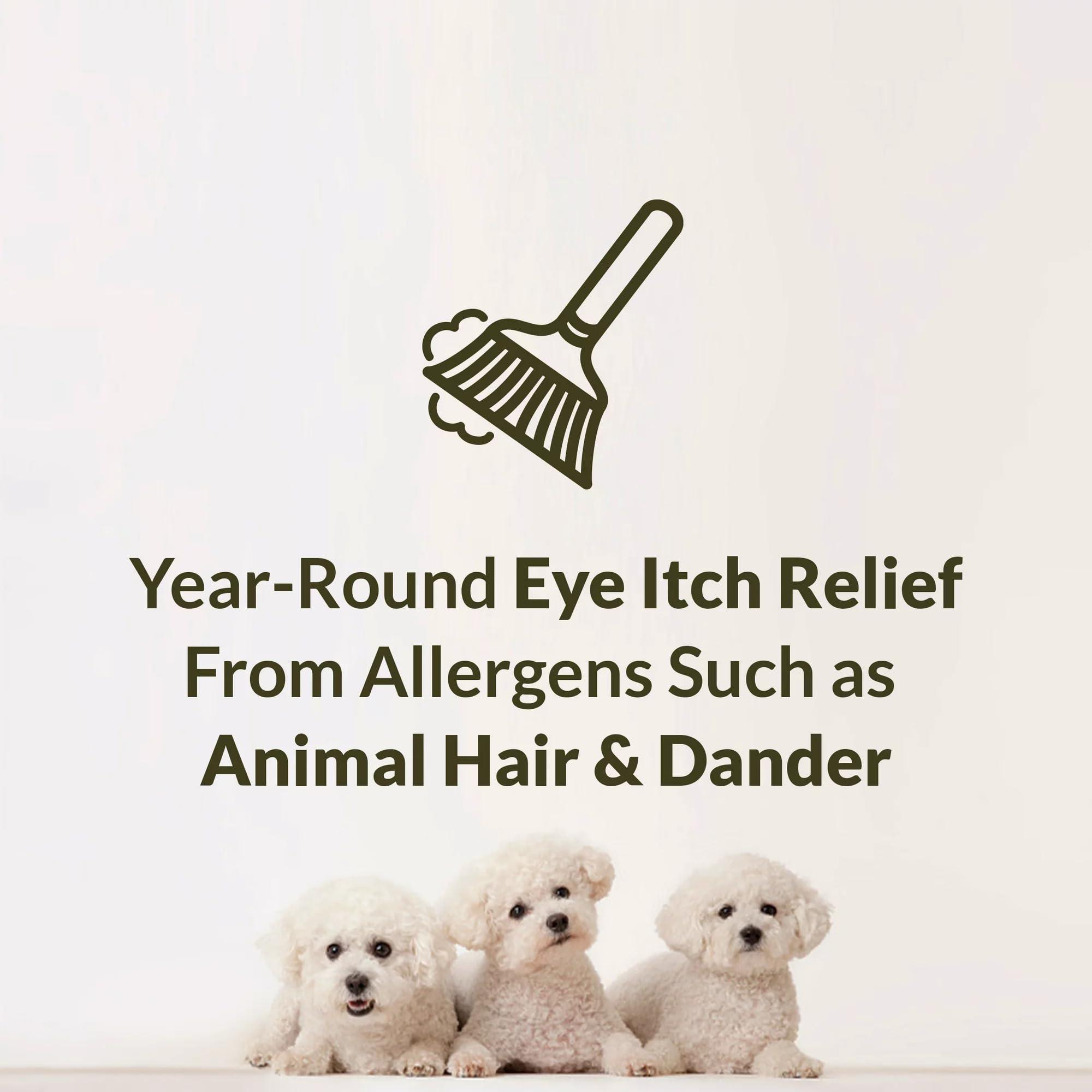 Alaway Alaway Bauch & Lomb Eye Itch Relief Drops (Pack of 6)