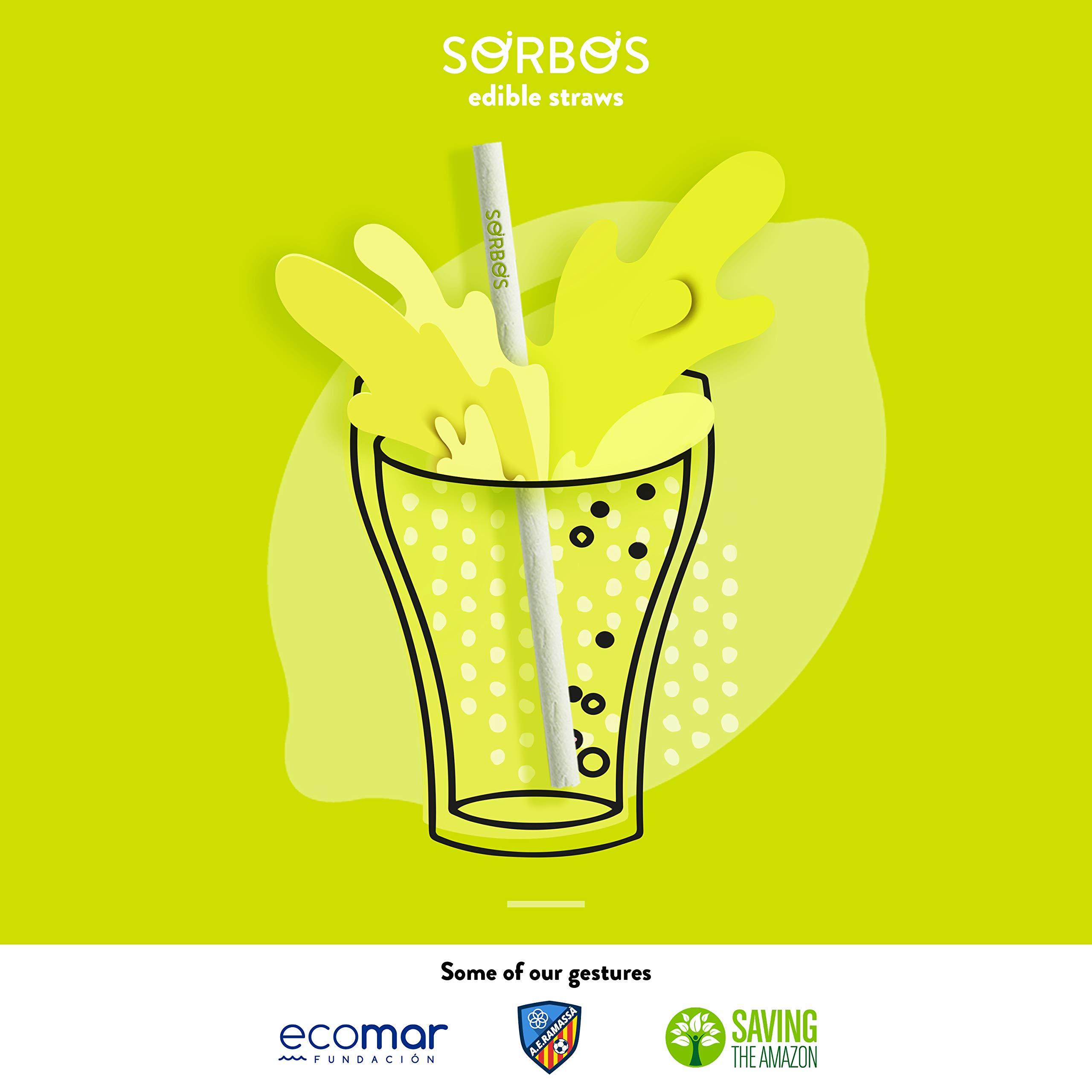 SORBOS Sorbos Edible Straws, Lime Flavored, Sustainable, Individually Packaged, No Plastic, No Allergens, No Gluten, No PFAS, 100 Percent Biodegradable, 9.4 inches long (Pack of 200)