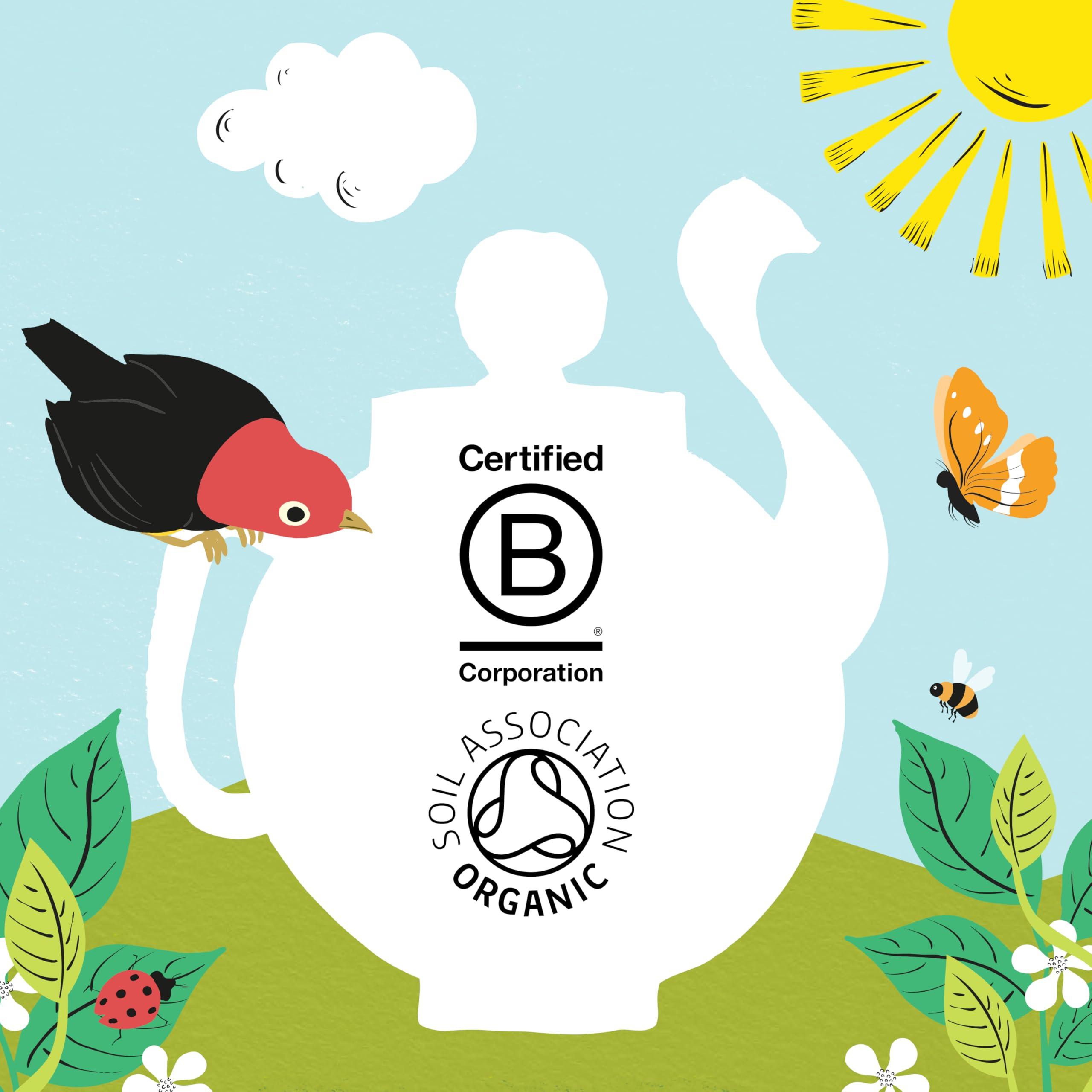 Clipper Natural, Fair & Delicious Clipper Tea, Orange & Turmeric, Organic Tea with Licorice Root, Orange Peel and Hibiscus, Plant Based Herbal Tea, Caffeine Free British Tea, 1 Pack, 20 Unbleached Tea Bags