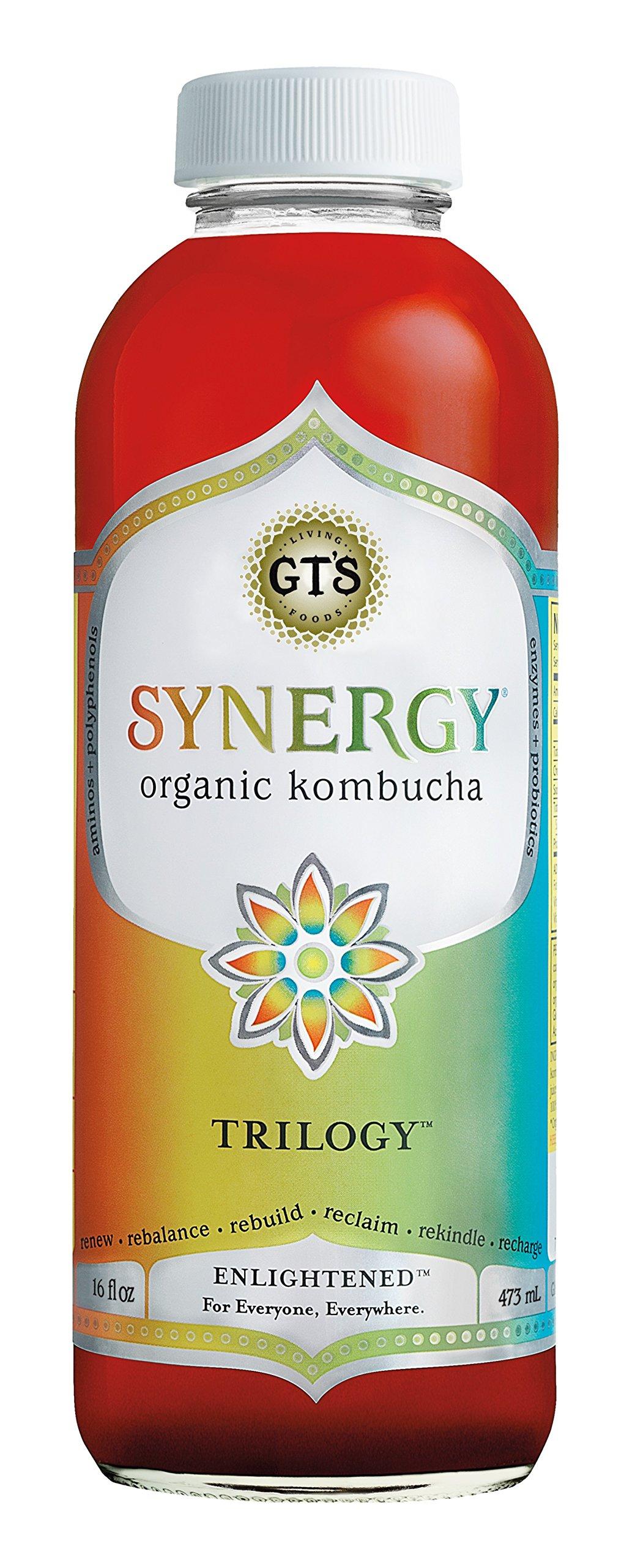GT'S ENLIGHTENED KOMBUCHA GT'S ENLIGHTENED KOMBUCHA Synergy Organic Kombucha Tea, Trilogy, 16.2 Ounce (Pack of 12)