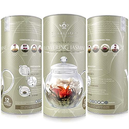 Teabloom Teabloom Jasmine Flowering Tea – Hand Tied Green Tea Leaves + Jasmine Blossoms Flowering Tea Creations – Blooming Tea Gift Set – 12-Pack, 36 Steeps, Makes 250 Cups