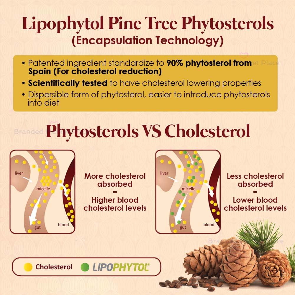 AFYAA [12 x 24 Sachets] AFYAA Sahiyya Botanical Beverage with Mixed Lime & Peach Flavor, Rich in Vitamin C to Prevent High Blood Pressure, Vegan-Friendly