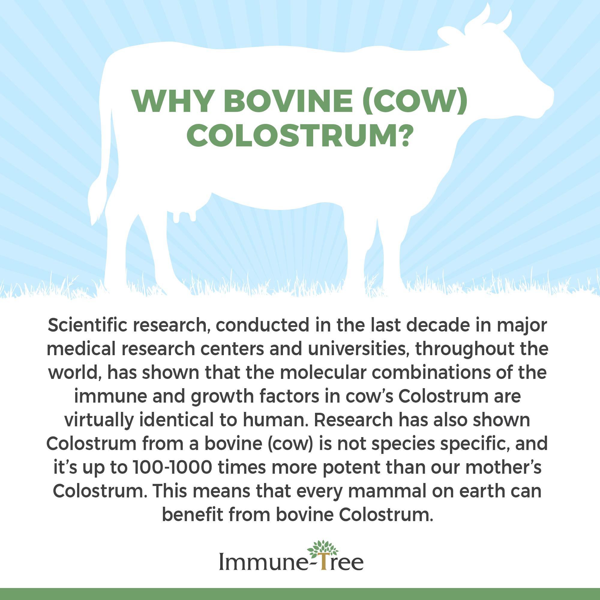 Immune Tree, Inc. Immune-Tree 100% Bovine Colostrum Powder, 120 Servings, 6.5oz, Supports Anti-Aging, Healthy Immune System, Gut & Digestion, Muscle & Tissue, & Wellness, Made in USA from Grass Fed, Grade A Dairy Cows