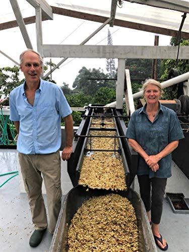 Domain Kona Gourmet Coffee 100% Kona Coffee – Whole Bean, Dark roast, Single estate gourmet coffee, 16 ounces, Ships direct from Domain Kona, farm fresh