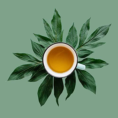 The Spice Hut Genmaicha Green Tea with Toasted Roasted Brown Rice, Loose Leaf Green Tea - Caffeinated | bulk 8oz, 80-100 cups | The Spice Hut, First Sip of Tea