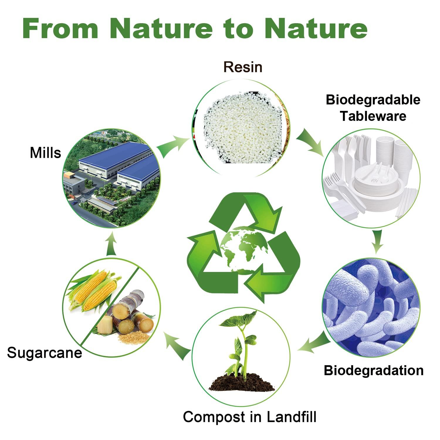 Aschef 400pcs Eco-Friendly Disposable Paper Plates Bulk and Cups Napkins Cutlery Sets Non-Plastic Biodegradable Compostable Dinnerware for Dessert Dinner Birthday Party (50 Guest)