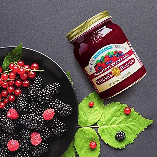 Nature's Hollow Nature\'s Hollow Mountain Berry Jam: Sugar Free Jam and Preserves, Low Cal, Non GMO, Keto Jam, Vegan, Gluten Free, and Diabetic Friendly - Sugar Free Jelly - 10oz